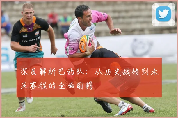 深度解析巴西队:从历史战绩到未来赛程的全面前瞻